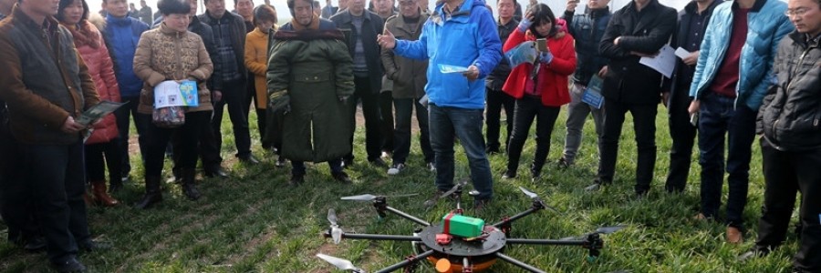 什么樣的航空植保企業才能主導市場？